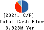 KUZE CO.,LTD. Cash Flow Statement 2021年3月期