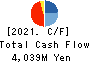 Wealth Management, Inc. Cash Flow Statement 2021年3月期
