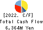AIZAWA SECURITIES GROUP CO.,LTD. Cash Flow Statement 2022年3月期