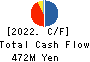 SHINTO COMPANY LIMITED Cash Flow Statement 2022年6月期