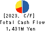 Future Innovation Group,Inc. Cash Flow Statement 2023年12月期