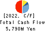 Nissan Securities Group Co., Ltd. Cash Flow Statement 2022年3月期