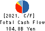 Tokai Tokyo Financial Holdings, Inc. Cash Flow Statement 2021年3月期