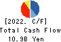 NAKAYAMA STEEL WORKS, LTD. Cash Flow Statement 2022年3月期