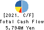 TSUKADA GLOBAL HOLDINGS Inc. Cash Flow Statement 2021年12月期