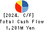 Finatext Holdings Ltd. Cash Flow Statement 2024年3月期