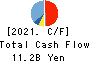 DAIICHI JITSUGYO CO.,LTD. Cash Flow Statement 2021年3月期