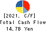 Nippon Yakin Kogyo Co.,Ltd. Cash Flow Statement 2021年3月期