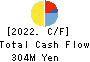 Datasection Inc. Cash Flow Statement 2022年Mar期 Datasection Inc. Cash Flow Statement 2022年3月期