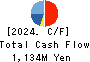 SHINKO Inc. Cash Flow Statement 2024年Mar期 SHINKO Inc. Cash Flow Statement 2024年3月期