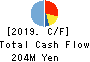 Ubiquitous AI Corporation Cash Flow Statement 2019年3月期