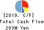 Ubiquitous AI Corporation Cash Flow Statement 2019年Mar期 Ubiquitous AI Corporation Cash Flow Statement 2019年3月期