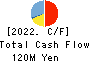 CLUSTER TECHNOLOGY CO., LTD. Cash Flow Statement 2022年Mar期 CLUSTER TECHNOLOGY CO., LTD. Cash Flow Statement 2022年3月期