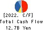 Mizuno Corporation Cash Flow Statement 2022年3月期