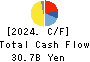 ARE Holdings, Inc. Cash Flow Statement 2024年Mar期 ARE Holdings, Inc. Cash Flow Statement 2024年3月期