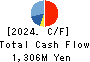 Shin Maint Holdings Co.,Ltd. Cash Flow Statement 2024年2月期