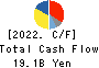 Sanken Electric Co.,Ltd. Cash Flow Statement 2022年3月期