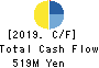 NAKANIPPON CASTING CO.,LTD. Cash Flow Statement 2019年Mar期 NAKANIPPON CASTING CO.,LTD. Cash Flow Statement 2019年3月期