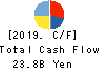 DAIBIRU CORPORATION Cash Flow Statement 2019年3月期