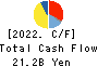 TOEI COMPANY,LTD. Cash Flow Statement 2022年3月期