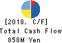 DM Solutions Co.,Ltd Cash Flow Statement 2018年Mar期 DM Solutions Co.,Ltd Cash Flow Statement 2018年3月期