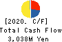 Nippon Koshuha Steel Co., Ltd. Cash Flow Statement 2020年3月期
