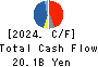 HISAMITSU PHARMACEUTICAL CO.,INC. Cash Flow Statement 2024年2月期