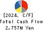 YA-MAN LTD. Cash Flow Statement 2024年4月期