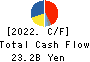 SEIKO GROUP CORPORATION Cash Flow Statement 2022年3月期