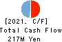 Succeed co.,ltd. Cash Flow Statement 2021年Mar期 Succeed co.,ltd. Cash Flow Statement 2021年3月期