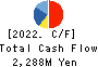 Shinnihonseiyaku Co.,Ltd. Cash Flow Statement 2022年9月期