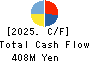 Virtualex Holdings,Inc. Cash Flow Statement 2025年Mar期 Virtualex Holdings,Inc. Cash Flow Statement 2025年3月期