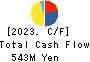 SIG Group Co.,Ltd. Cash Flow Statement 2023年3月期