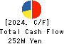 BlueMeme Inc. Cash Flow Statement 2024年3月期