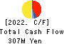 Tokyo Communications Group,Inc. Cash Flow Statement 2022年12月期