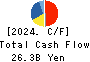NS Solutions Corporation Cash Flow Statement 2024年Mar期 NS Solutions Corporation Cash Flow Statement 2024年3月期