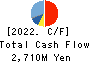 IWAKI CO.,LTD. Cash Flow Statement 2022年3月期