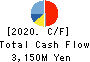 NIHON KAGAKU SANGYO CO.,LTD. Cash Flow Statement 2020年3月期
