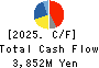 FUJIKURA KASEI CO.,LTD. Cash Flow Statement 2025年3月期