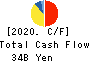 FUTABA INDUSTRIAL CO.,LTD. Cash Flow Statement 2020年Mar期 FUTABA INDUSTRIAL CO.,LTD. Cash Flow Statement 2020年3月期