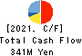 MT GENEX CORPORATION Cash Flow Statement 2021年Mar期 MT GENEX CORPORATION Cash Flow Statement 2021年3月期