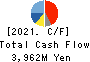TERASAKI ELECTRIC CO.,LTD. Cash Flow Statement 2021年3月期