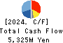 TOYO SECURITIES CO.,LTD. Cash Flow Statement 2024年3月期