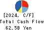 KANEMATSU CORPORATION Cash Flow Statement 2024年3月期