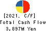 NIHON SHOKUHIN KAKO CO.,LTD. Cash Flow Statement 2021年3月期