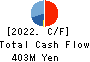 Data Applications Company, Limited Cash Flow Statement 2022年3月期