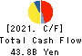 Denka Company Limited Cash Flow Statement 2021年Mar期 Denka Company Limited Cash Flow Statement 2021年3月期