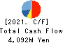 IWASAKI ELECTRIC CO.,LTD. Cash Flow Statement 2021年3月期