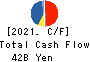 Nojima Corporation Cash Flow Statement 2021年3月期