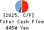 IVY COSMETICS CORPORATION Cash Flow Statement 2025年Mar期 IVY COSMETICS CORPORATION Cash Flow Statement 2025年3月期